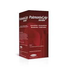 PULMONIX GRIP JARABE - jbe. x 100 ml - Biotenk