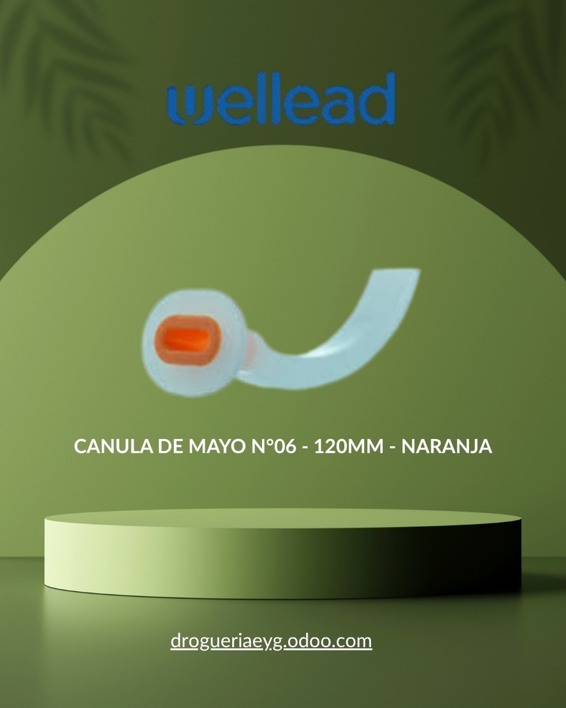 CANULA DE MAYO N°06 - 120MM - NARANJA - WELL LEAD 