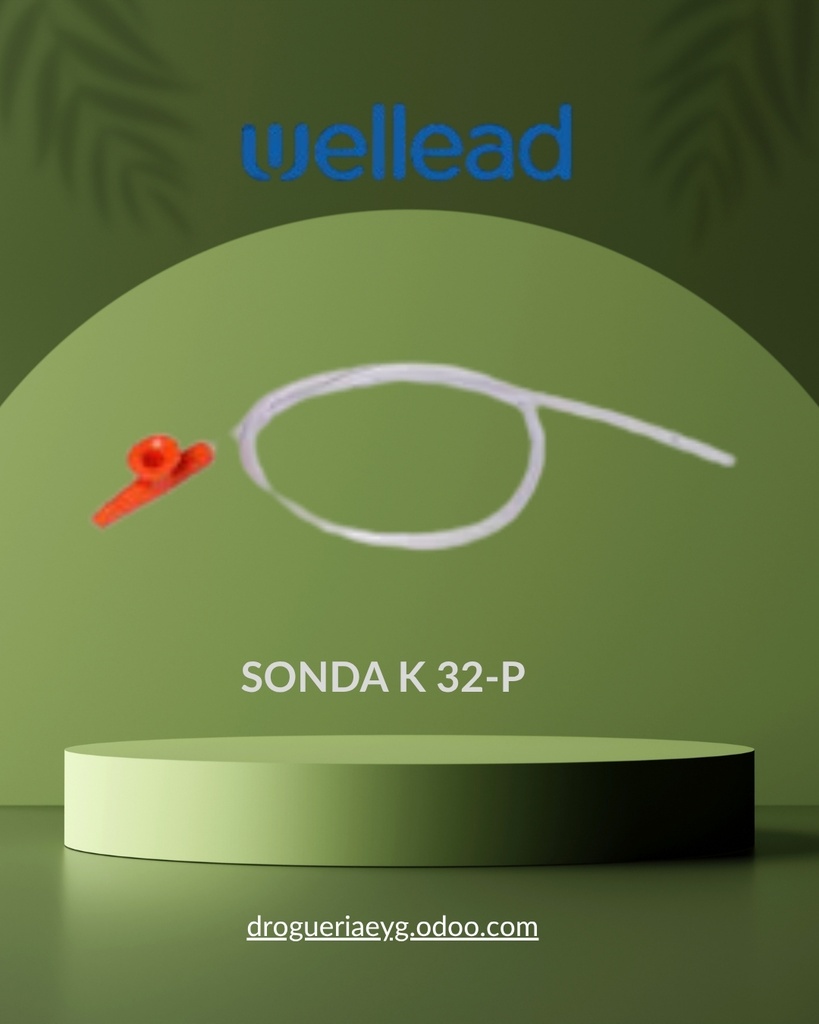 SONDA K 32-P - WELL LEAD 