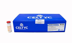 CEFEPIME 1 GR F.A. - CELTYC 