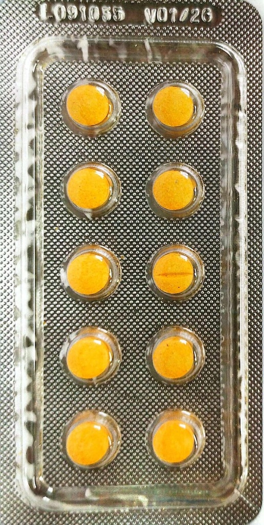 METOCLOPRAMIDA 10MG X 10 COMP. - VANNIER 