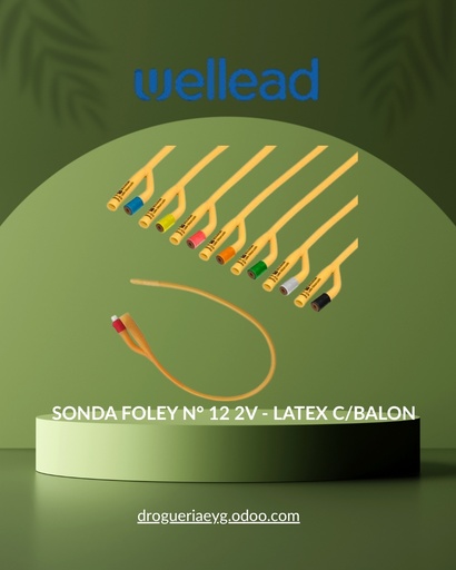 [13068] SONDA FOLEY N° 12 2V - LATEX  C/BALON - WELL LEAD 