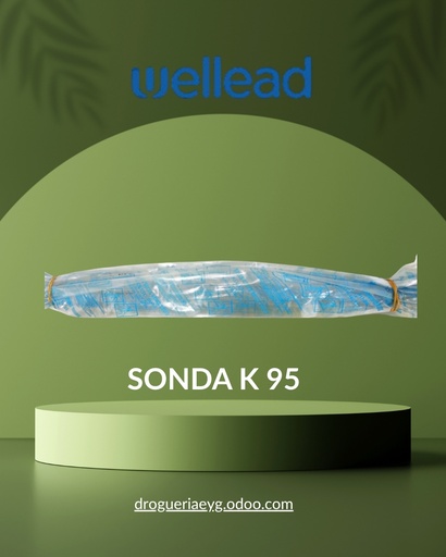 [11622] SONDA K 95 - WELLEAD 