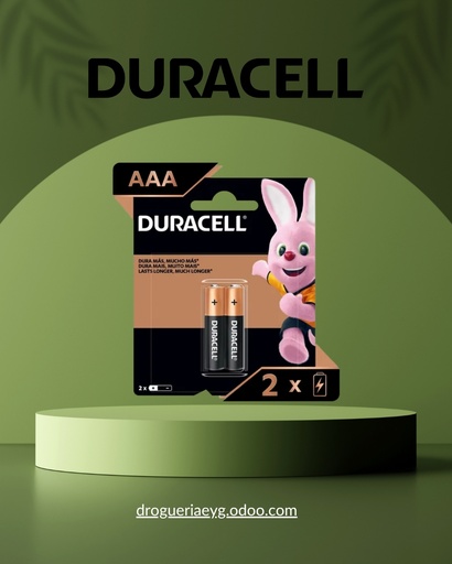 [12434] PILA ALCALINA AAA X 2 BLISTEER - DURACELL *